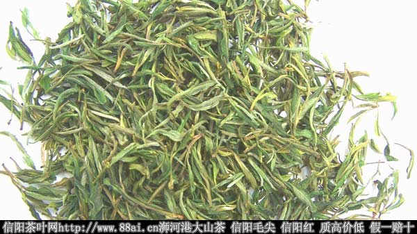 黄山毛峰简介