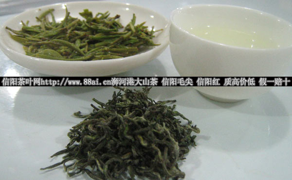 都匀毛尖简介